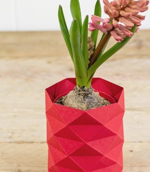 Maceteros Geniales y Sustentables