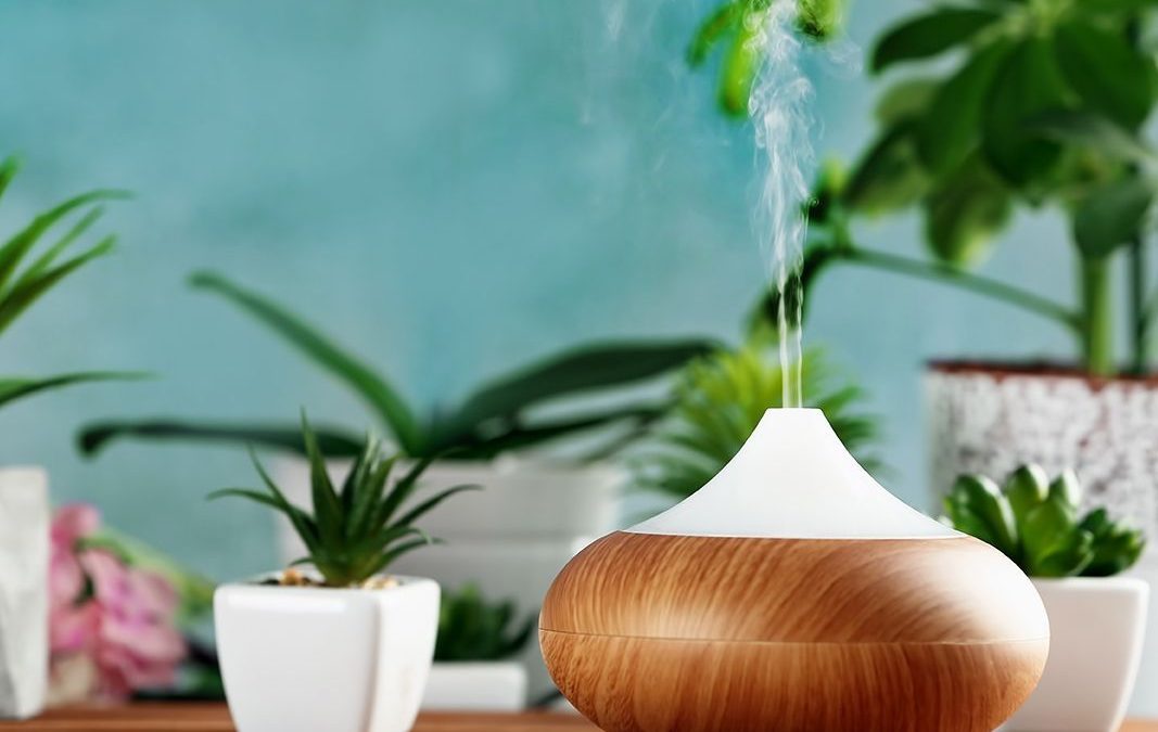 Atrévete a Perfumar tu Casa